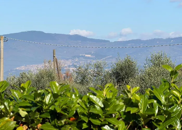 Villa Mira Cortona